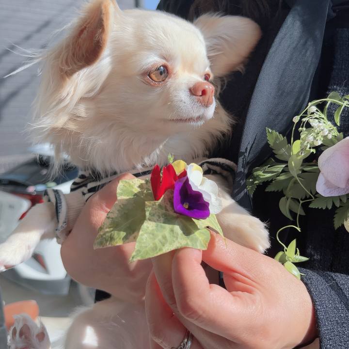 04e4a74e 1ffa 4a4d 8a6e a1c7af48ef03 1710502631086