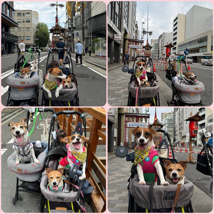 04e4b71a d6b5 4c0b ad60 164bfc0aa566 1721223120092