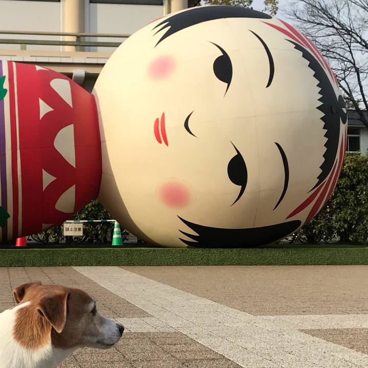 04e4dbd5 20bd 4576 97cb 17eed4838f58 1551786291802