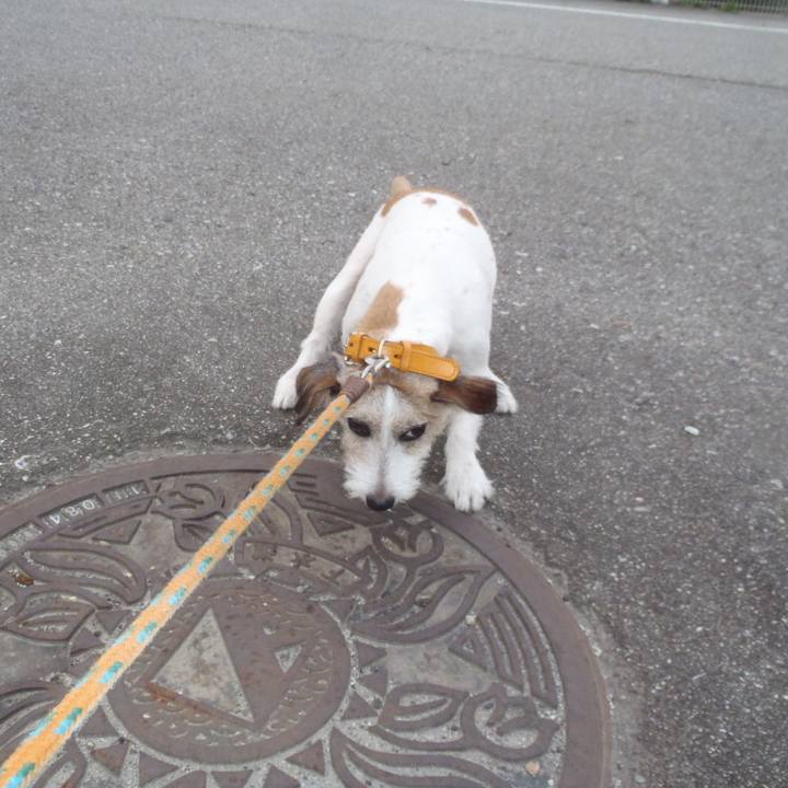 04e4edf6 747c 4fe6 b709 041091a3a3ee 1538972157259