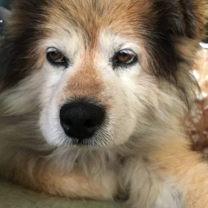 04e50199 69ef 4ae1 be9f f7f35cf33eed 1602846213486