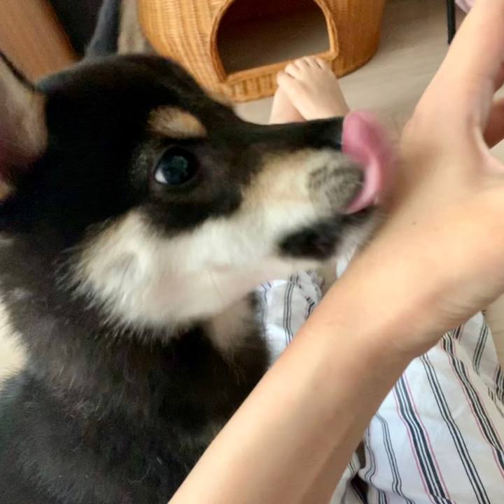 04e5240a 6dda 4532 8eac 09e2ef93e946 1558219359486