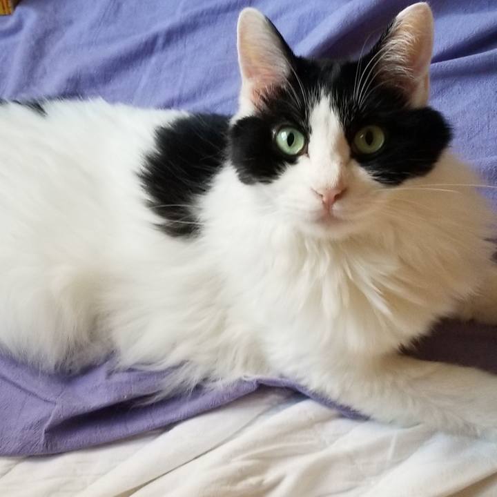 04e57f80 fde7 417c ab13 20a4c2b0be7f 1598481348365