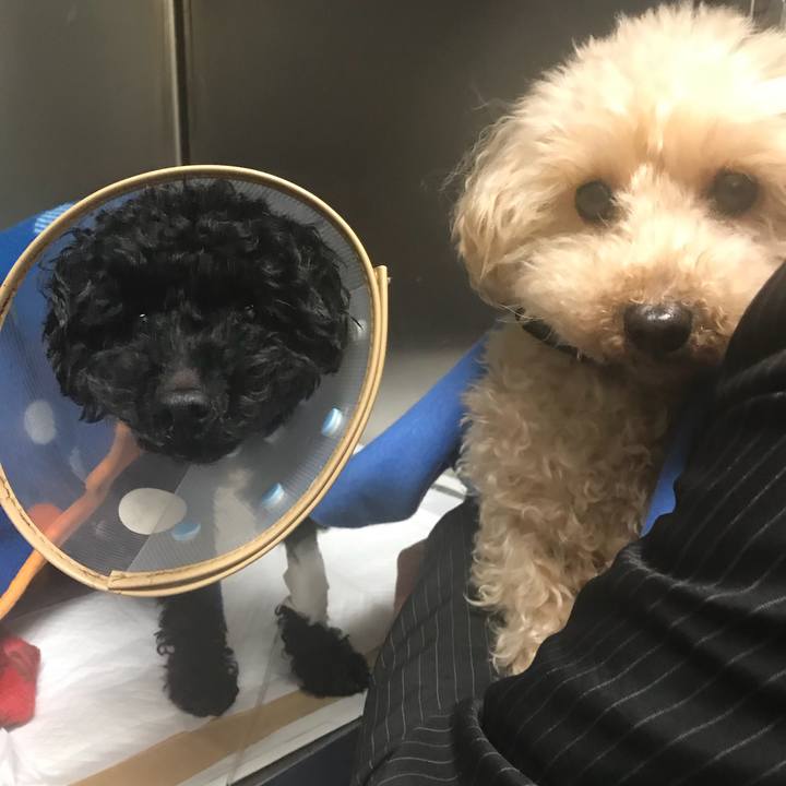 04e58771 31c3 432e a9b1 690c38cf7f49 1519123985376