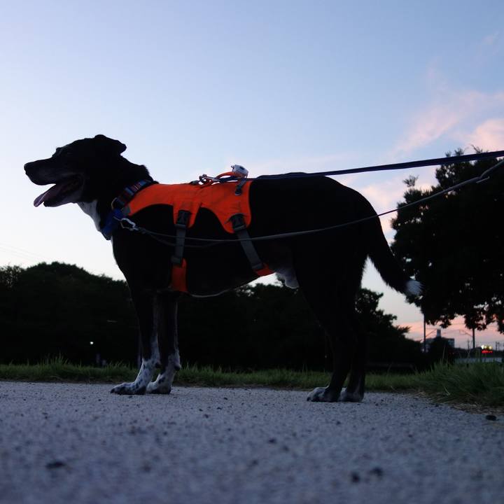 04e58e0d ac41 4f4f 9cf5 8751630fafae 1753787238758