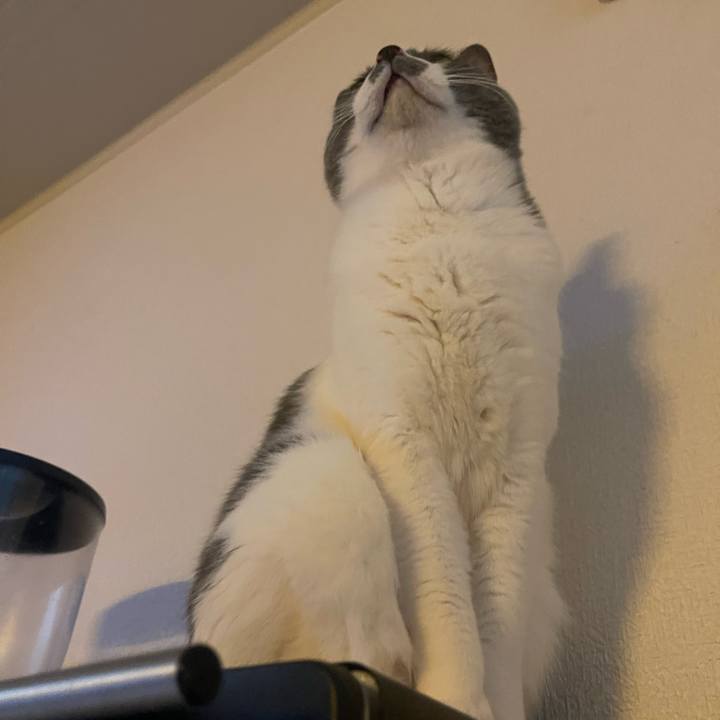 04e596b5 c34d 4a1b ba3a 514e15c57101 1742512355193