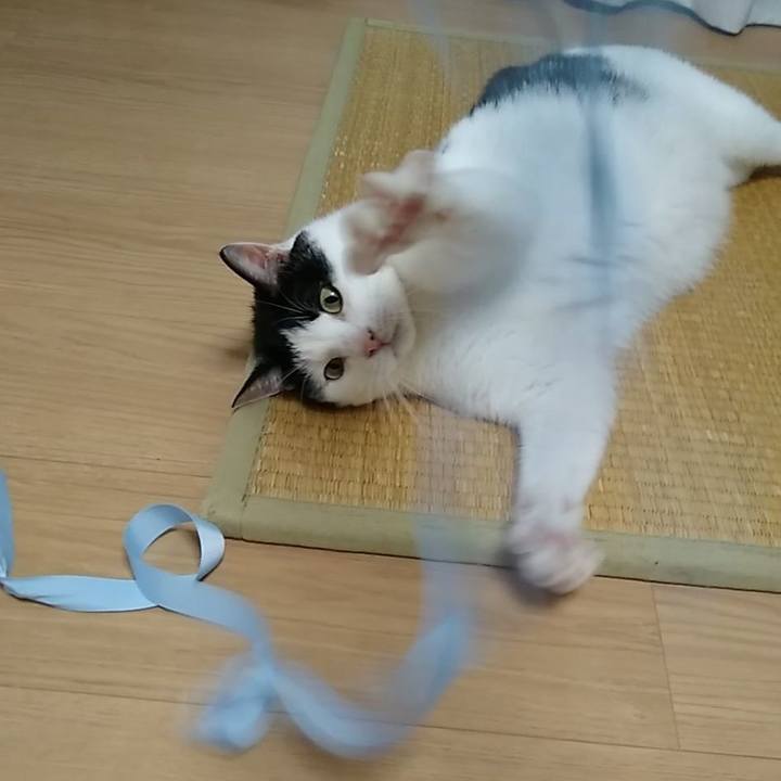 04e59ba1 b374 4926 9394 8fe29a4dcc3c 1564312604383