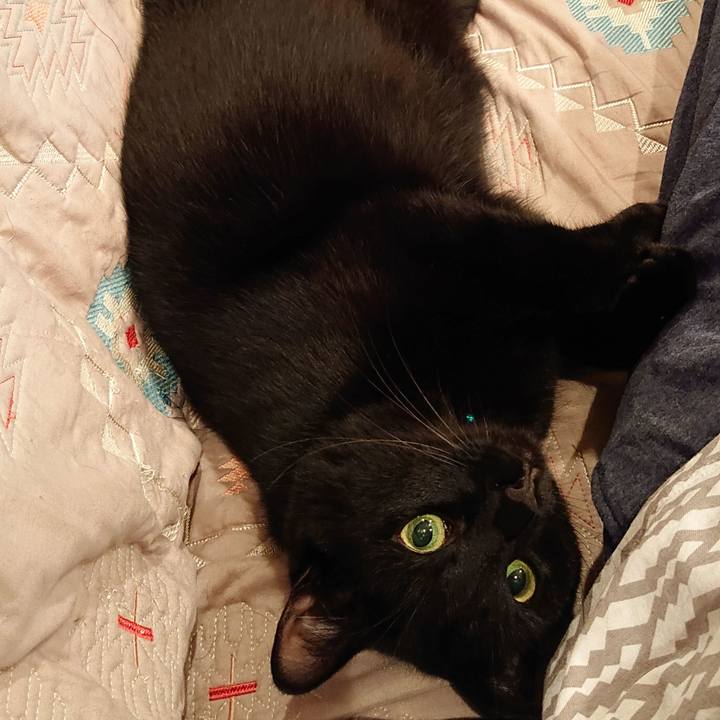 04e5ad1a f376 43d0 9d5f 510cd08be93a 1536815017057