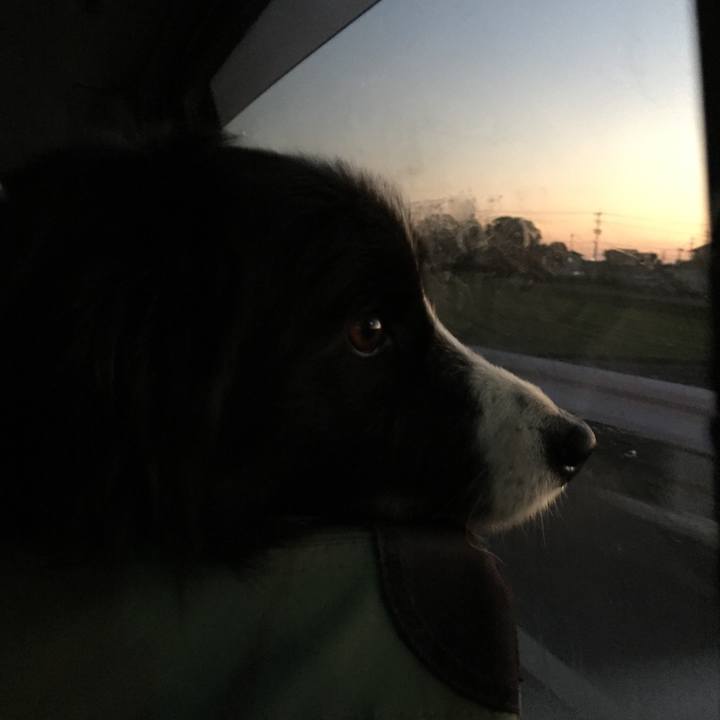 04e5b501 7115 4a9c 97f4 0c233a7c84fd 1546418592753