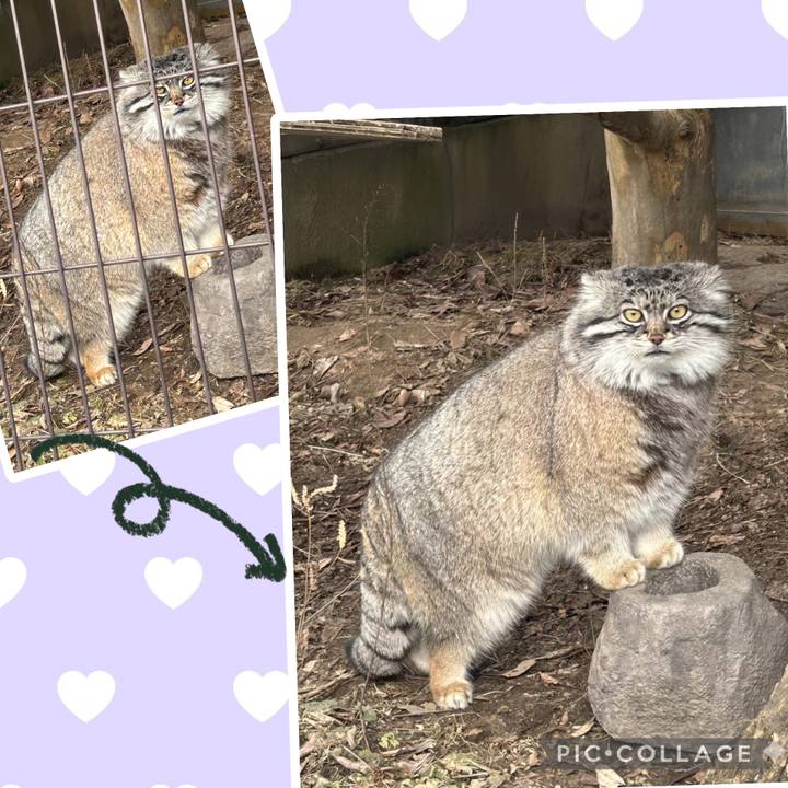 04e5cee5 5de1 48af 84d0 46f9410ca312 1775888216263