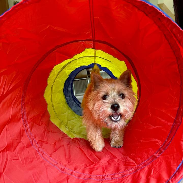 04e5f73e 1e24 4ac4 8a8d e51be423dfb0 1714227214344