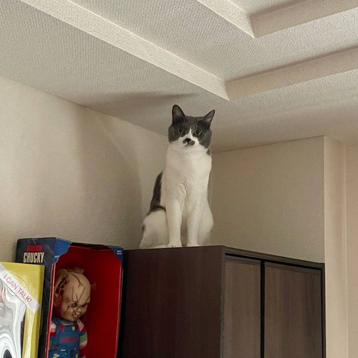 04e606a5 9605 4794 8d7e 5f06ea10ff85 1664353250190