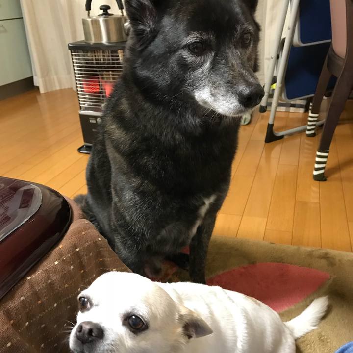 04e628a0 f422 4d4e b178 46244441fb48 1514467028057