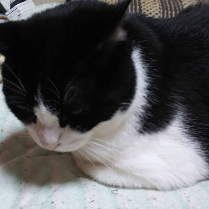 04e62d0e 4fd9 4c89 b4a7 01d3779ef3d1 1559598271102