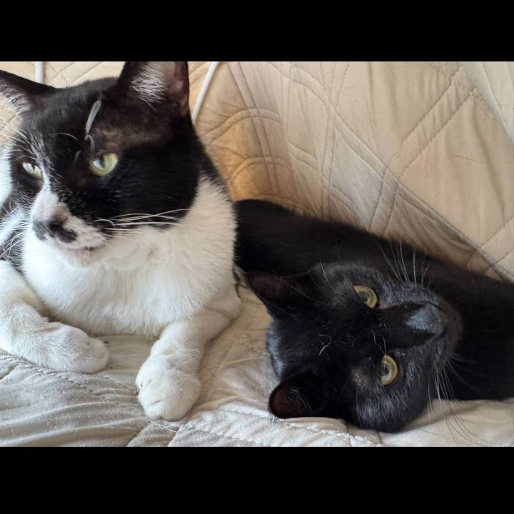 04e654df 54aa 45e8 a5d6 096e5c196291 1754803431404