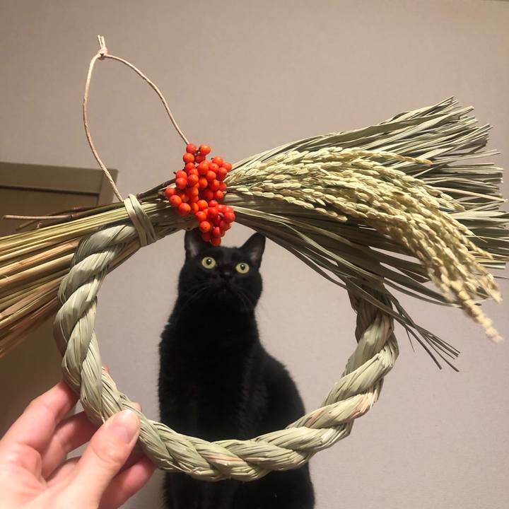 04e67e63 cdd2 4431 920d a9e9627e2c58 1672190514157