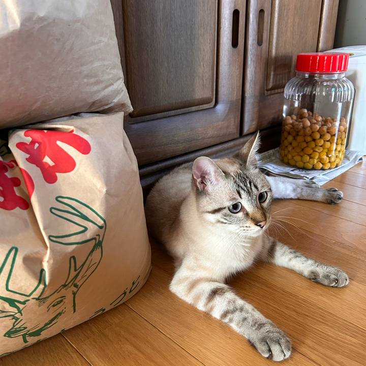 04e67fef 93a6 455e bd07 a66073998306 1751149937891