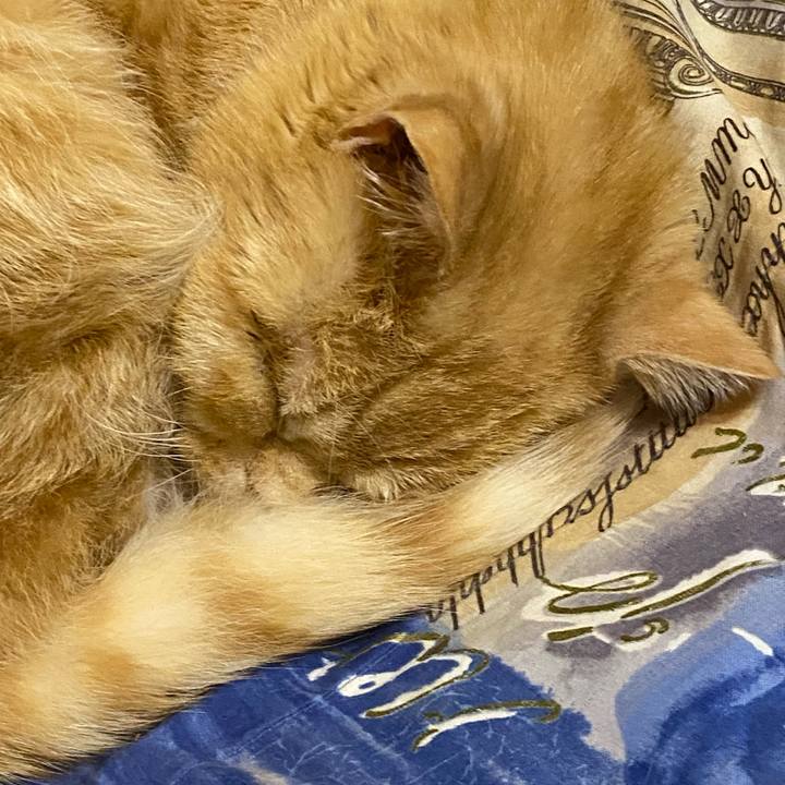 04e6a39d d4e8 440e be41 e7a2ca73ffc6 1644958068013