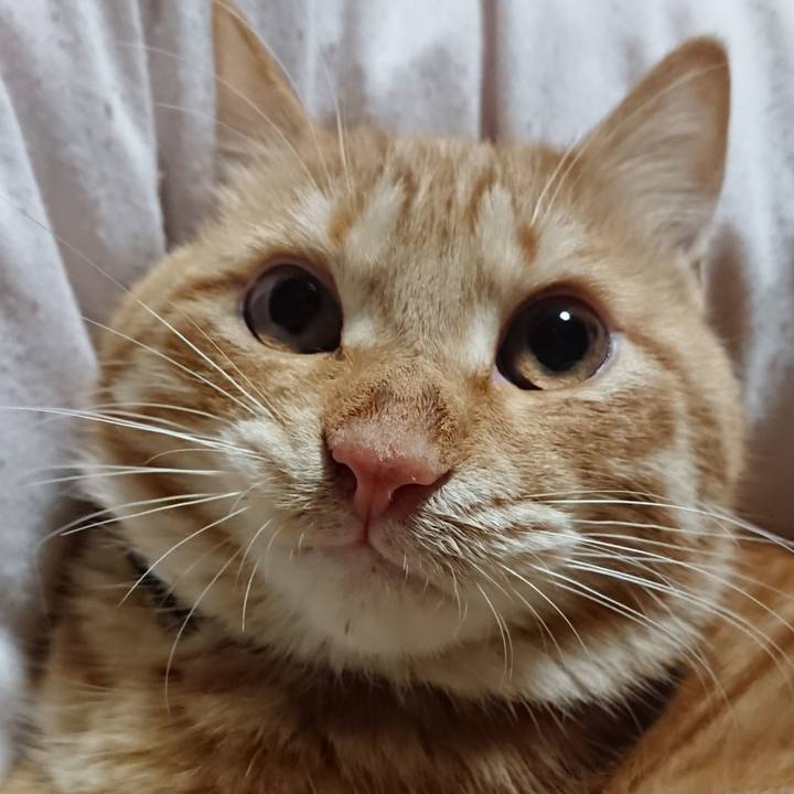 04e6ae0b 9286 4424 9aaf acd87c2a88d7 1641819309748