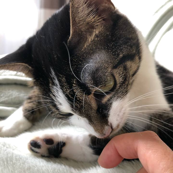 04e6af4f 16f9 448d 908c 271647f07046 1603309234964