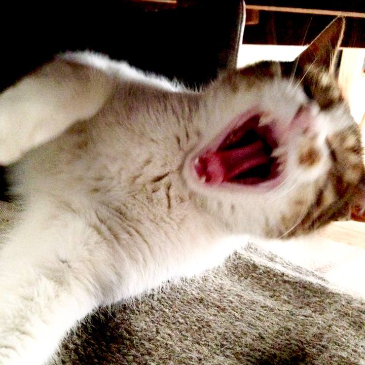 04e6b188 048a 4fcd 82fc 22f4569de3fe 1547945223528