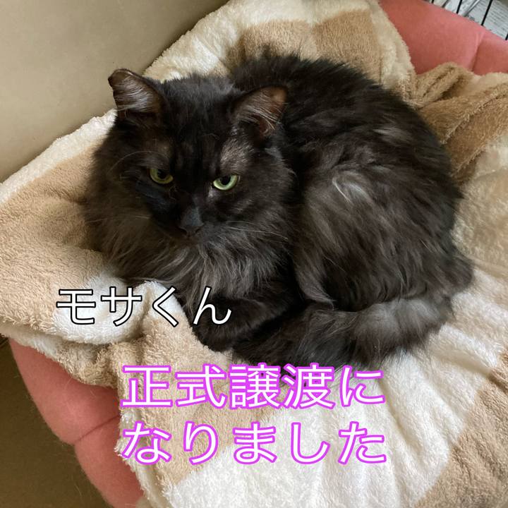 04e6dd38 2520 485f b012 873d12256212 1687162218664