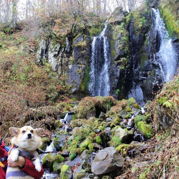 04e7e9f7 4060 4a13 8d4b c50c2a4efff2 1667475575338