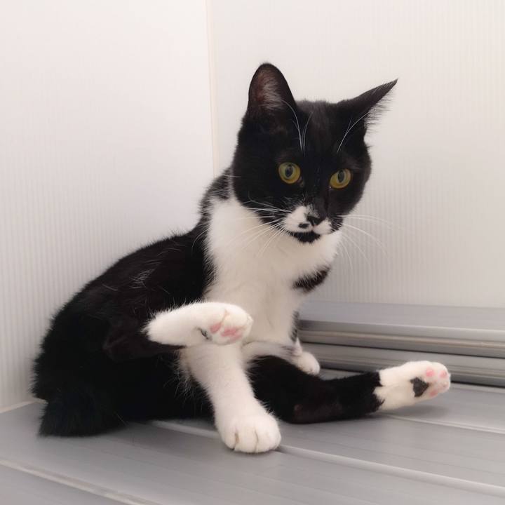 04e7f81f f500 4da3 9aac aeda63e2b159 1545235209365