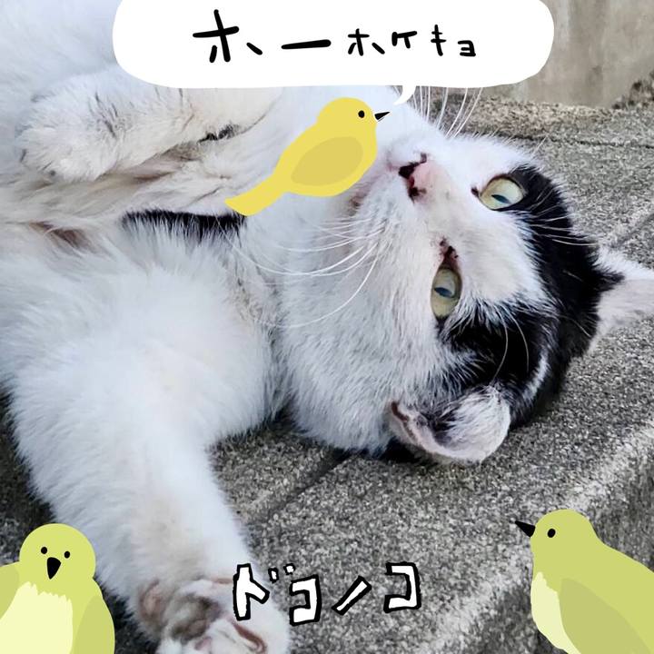 04e7f9b6 f918 494f 863d 4ef58a6319e2 1711088837373