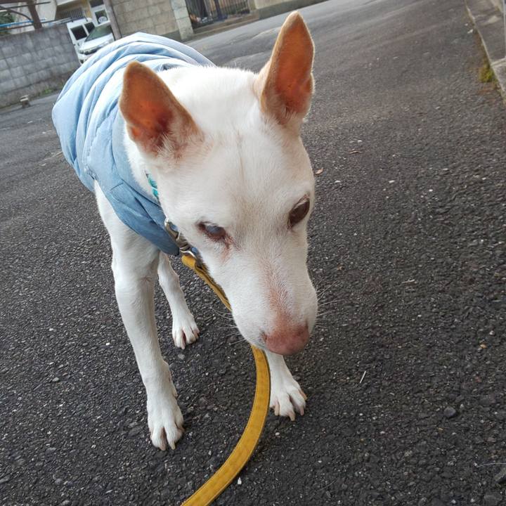 04e805f7 c161 4a4b 8ccd c330b77e29d9 1541370337629