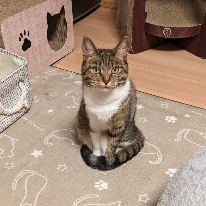 04e813bf 2577 4490 8d6b 40a4e2e5804c 1701960920523