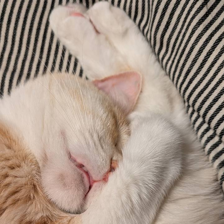 04e82561 6f9d 4dc6 a688 1f83848e0daa 1727604095838