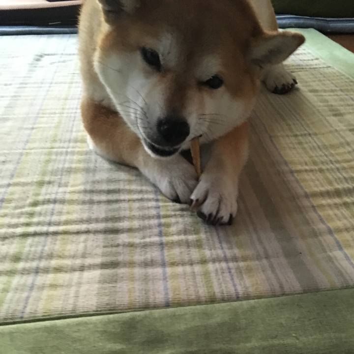 04e83629 6082 48c1 8fc1 2be0009c82d4 1566886154797