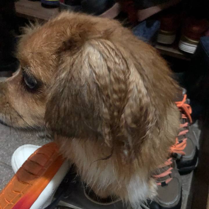 04e84695 e74f 48b3 850b 102cea43bbe9 1534805308519