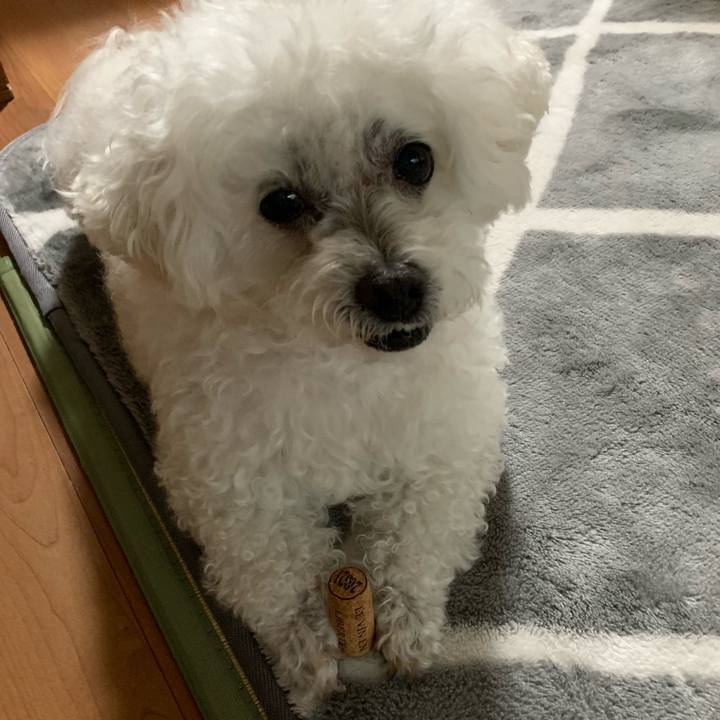 04e848f3 f92e 463e ab33 2f4b762688b6 1679734679221