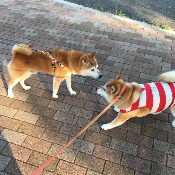 04e852a9 d624 421a 9f15 41d4a39aff3d 1565997109752