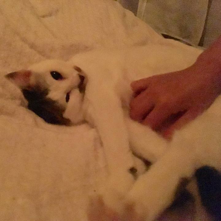 04e870fd 1068 49d9 acc7 9fd2e7814cee 1538580705264