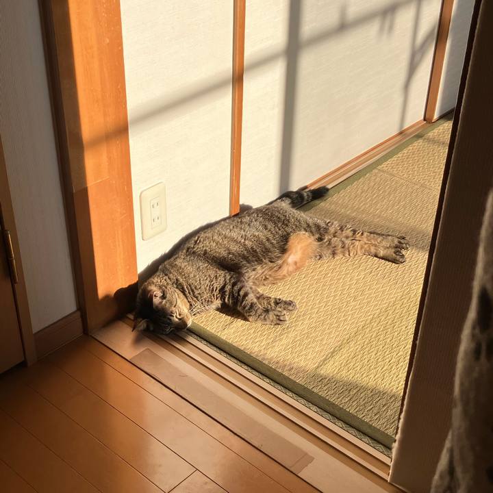 04e8815c 69ea 47ec a841 90a945e52583 1764112230086