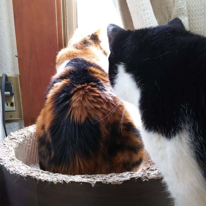 04e881f6 3814 44bb 95a1 23d0cbe775ce 1559349102901