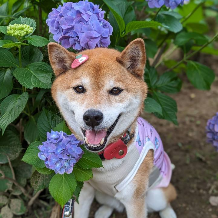 04e88e24 e09f 4503 aabf bed9edb77631 1719026366277