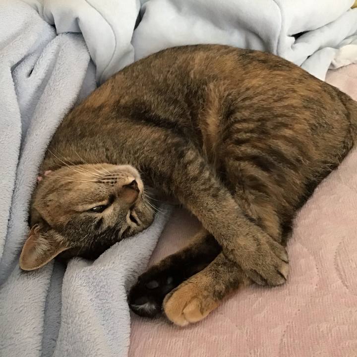 04e899c6 e00a 40bd a73b 7d50f551f2a2 1590272976907