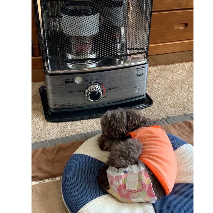 04e8c4f9 9841 4d17 a73e 960d735e3528 1579056530883