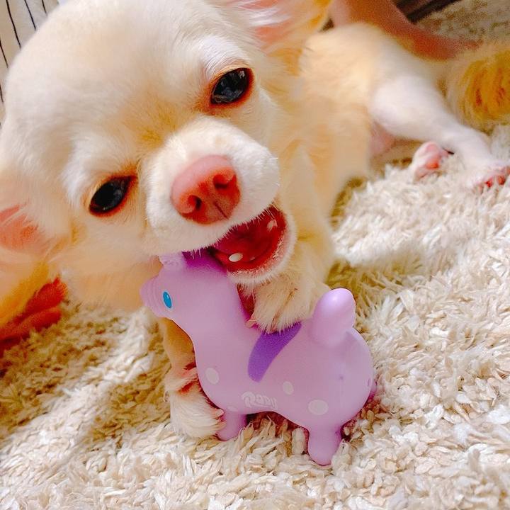 04e907d0 5838 4741 b093 ba6b6a376ca7 1631194793870