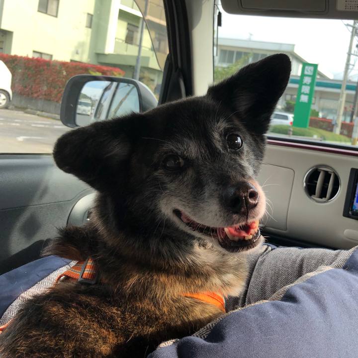 04e91222 012e 4330 a0e4 6d944aeaa888 1713602762681