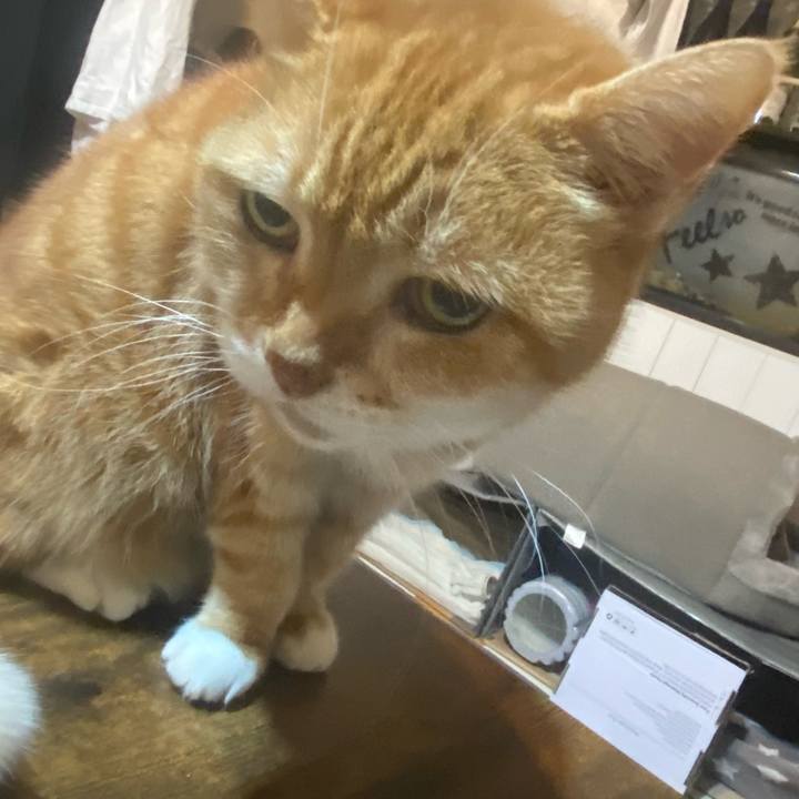 04e96ac5 588b 4fe8 82dd 77df4a8a2531 1766526103607