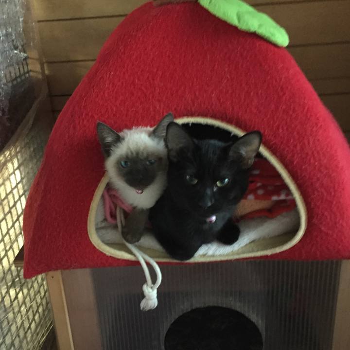 04e96e25 95b7 4461 ace8 f38aa7d6face 1574983200864