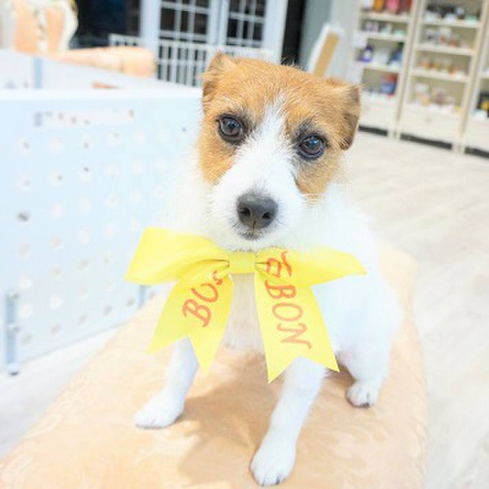 04e97535 db1d 42b2 bd90 a00588e837c5 1549187139153