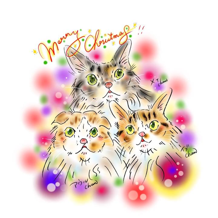 04e9786e 9e27 44e1 9a20 b297a3f606df 1607882076306