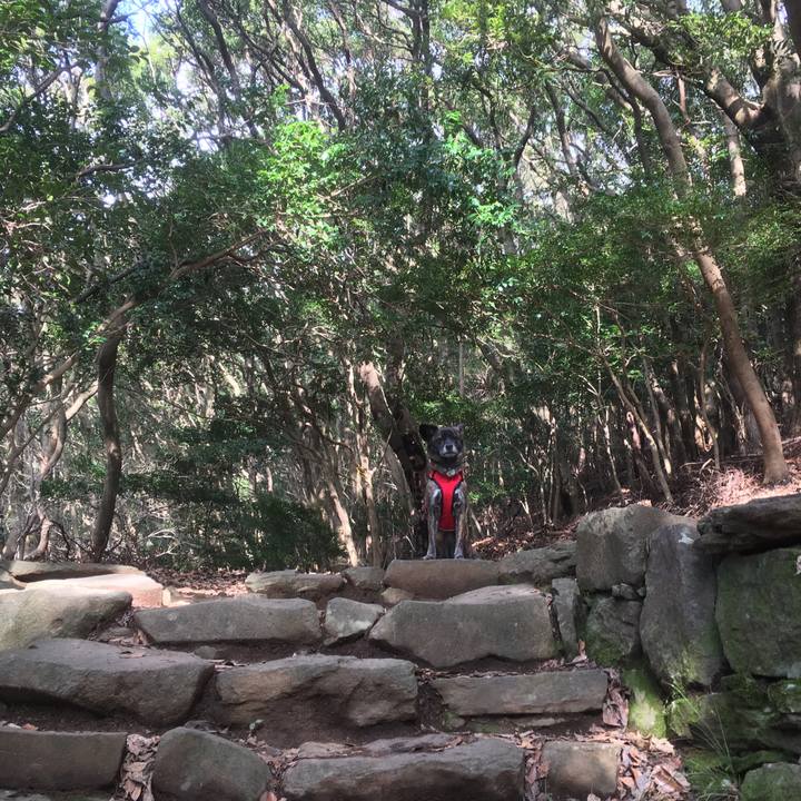 04e9c71a 34ab 42ad 8b08 d028ce07737e 1547967913412