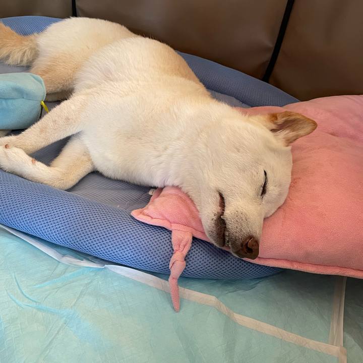 04e9ceca 2649 4cfc 8b06 0e9bc968ff30 1656293080448